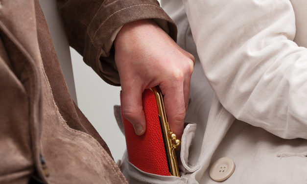 Das grosse Geschäft der Taschendiebe